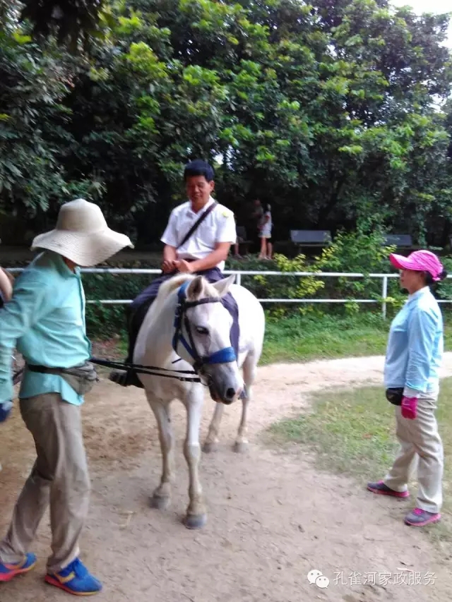 ���ҷ���׌��������á�2015��B�T�м�����(ji��)���(d��ng)��