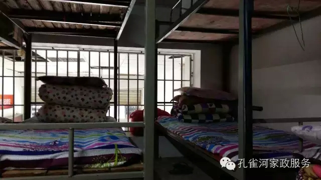 ��ȸ�Ӽ�����ķ������ů��ů��������