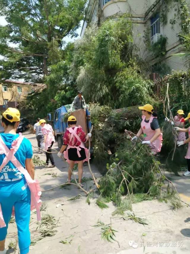 ��������y���������