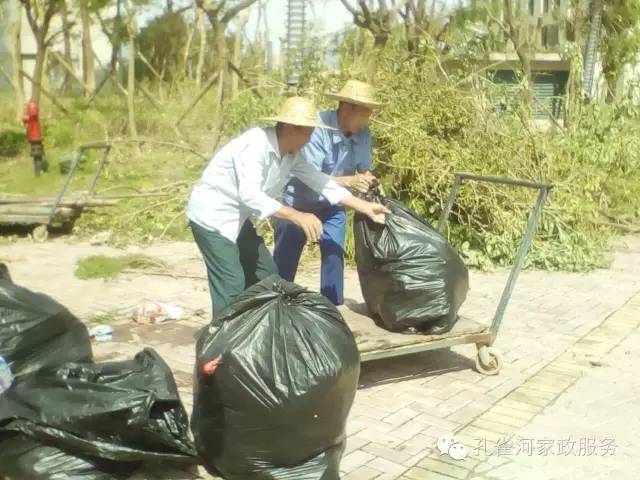 ��������y���������