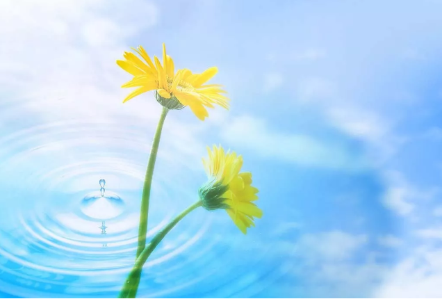 2018��(j��ng)�����¸��f�f,�m������(g��)�Ժ���!